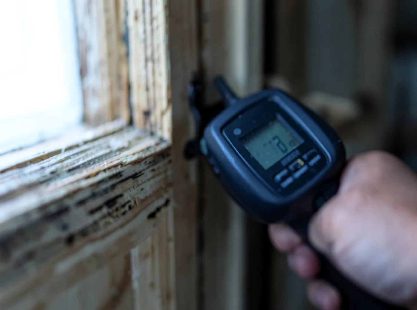 Moisture Inspection And Documentation in Berthoud, CO